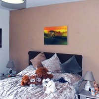 The Crocodile Standoff