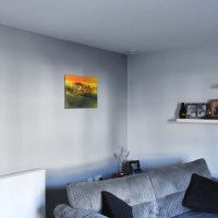 The Crocodile Standoff